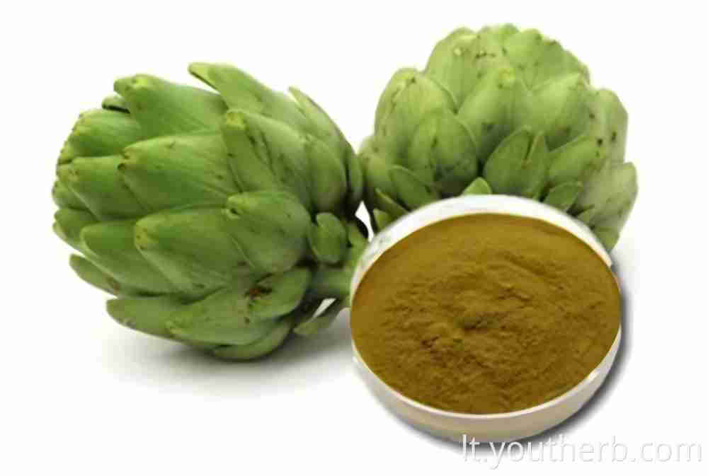 artichoke extract 2.5% cynarin